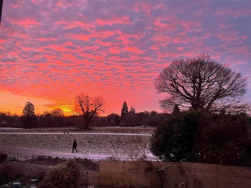 Beautiful Sunrise