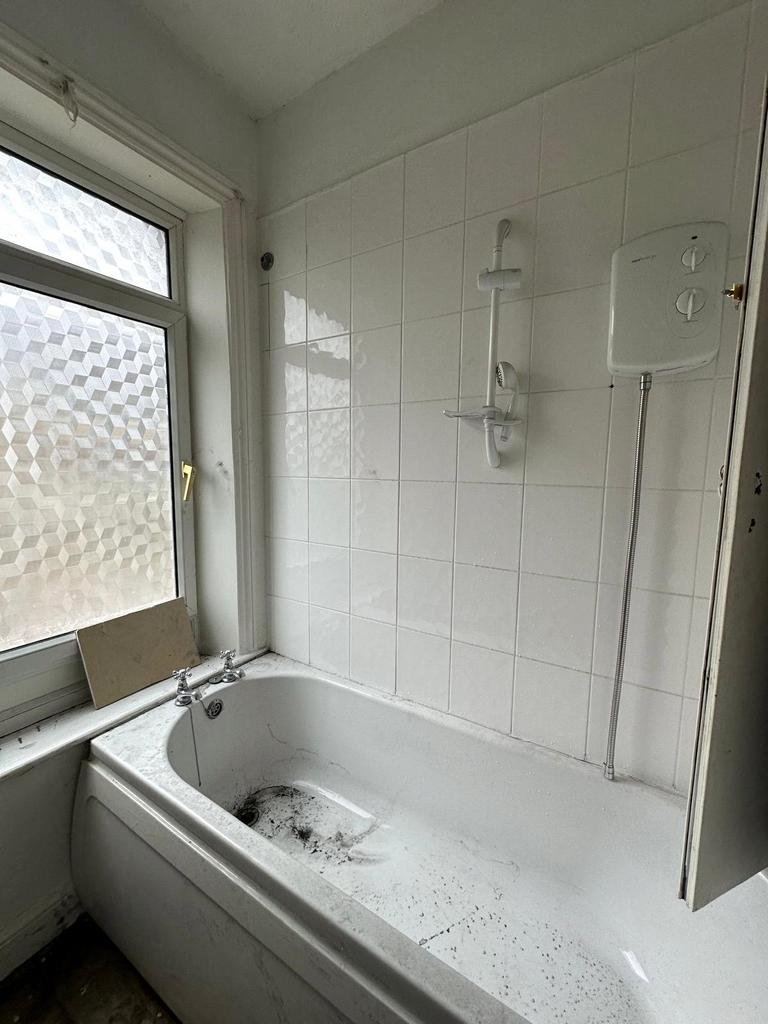 Picture 11