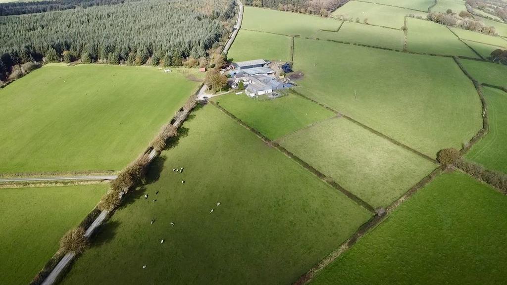 The land