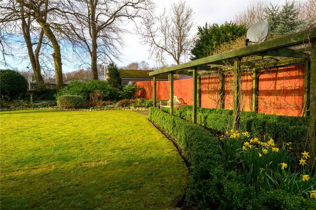 Back Garden