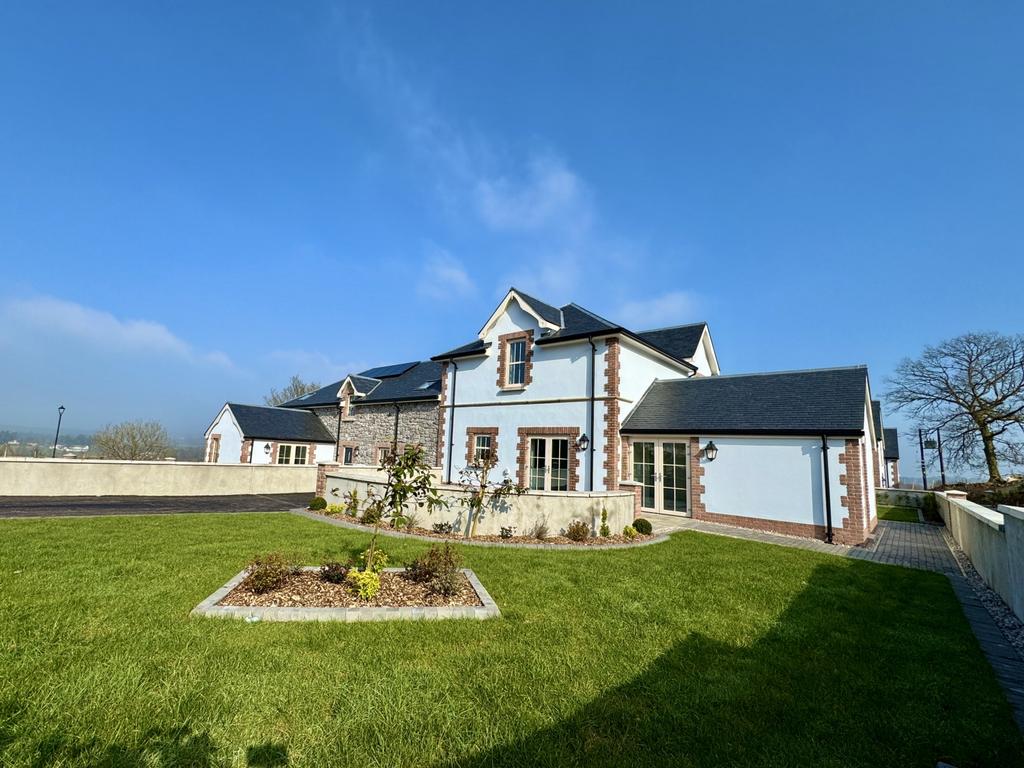 Img 9008