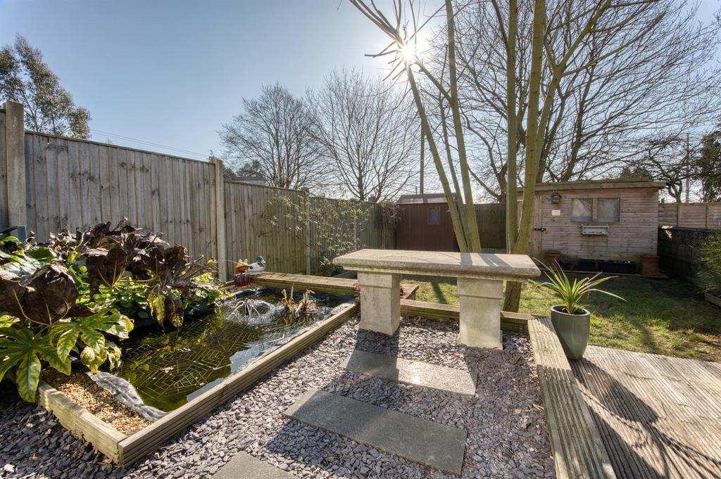 Garden pond.jpg