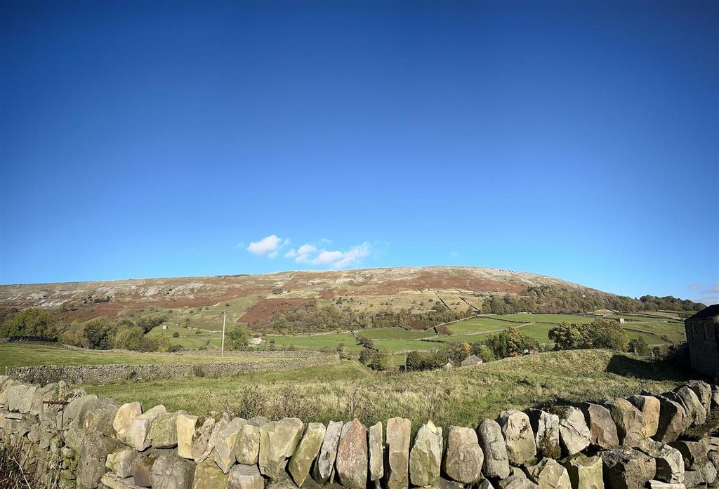 IMG 4666.jpg