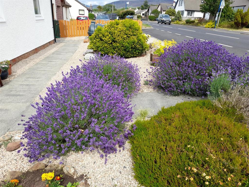 Front garden