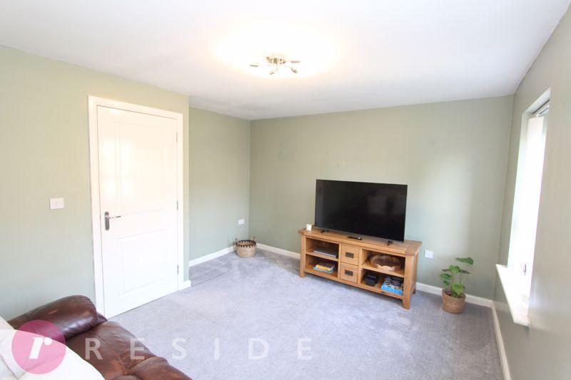 Lounge / Bedroom