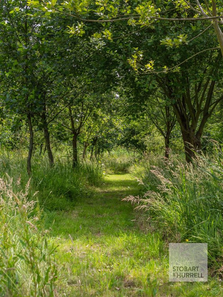 Woodland