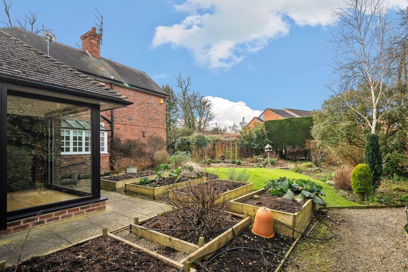 Vegetable garden