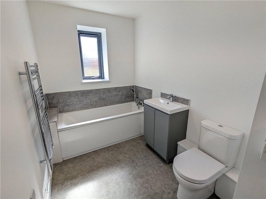 Picture 13