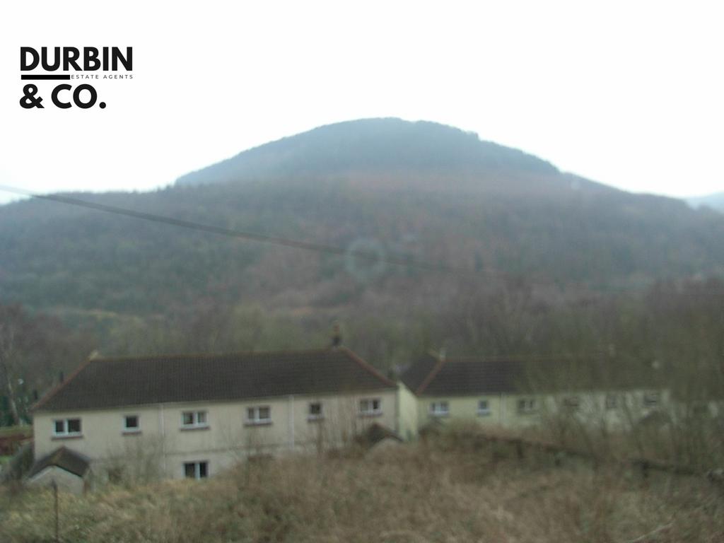 Rimg0049.jpg