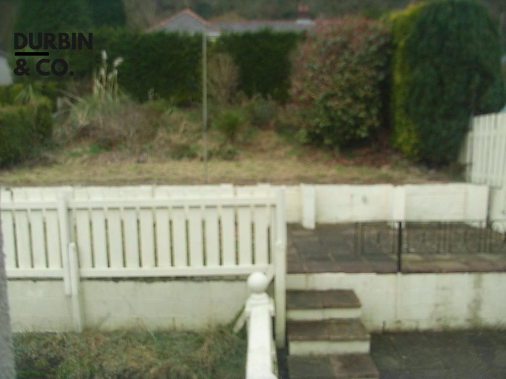 Rimg0051.jpg