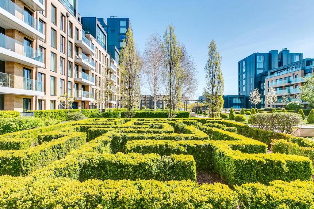 Maze