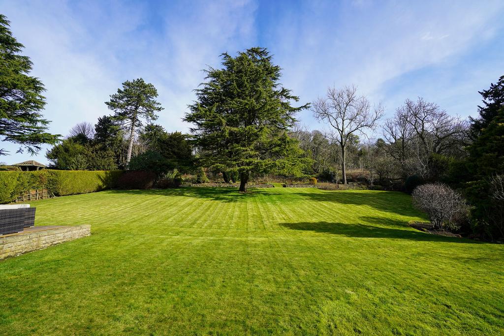 Main Lawn