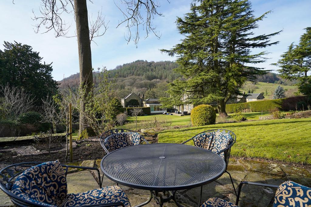 View from Top Patio