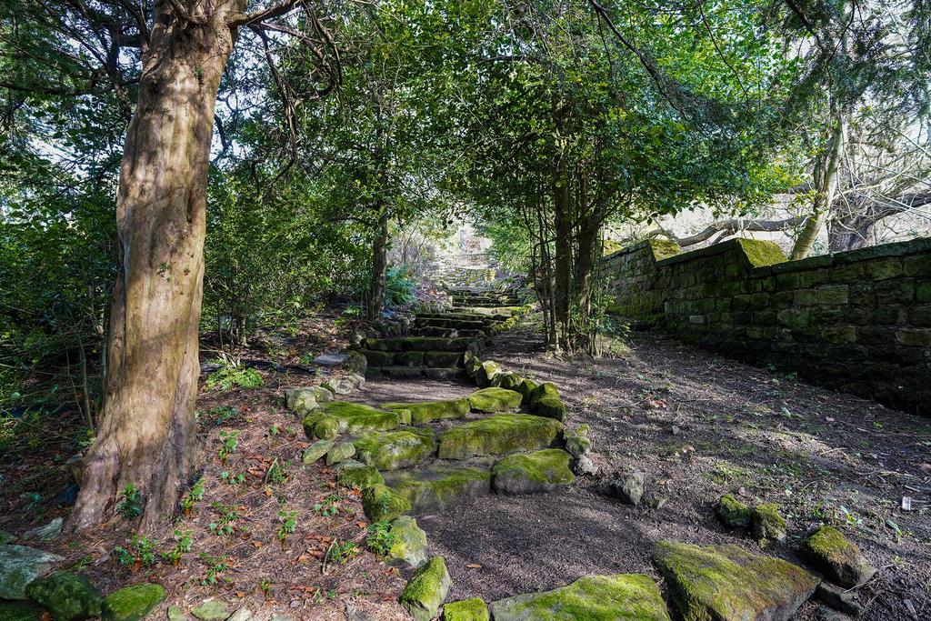 Woodland Steps