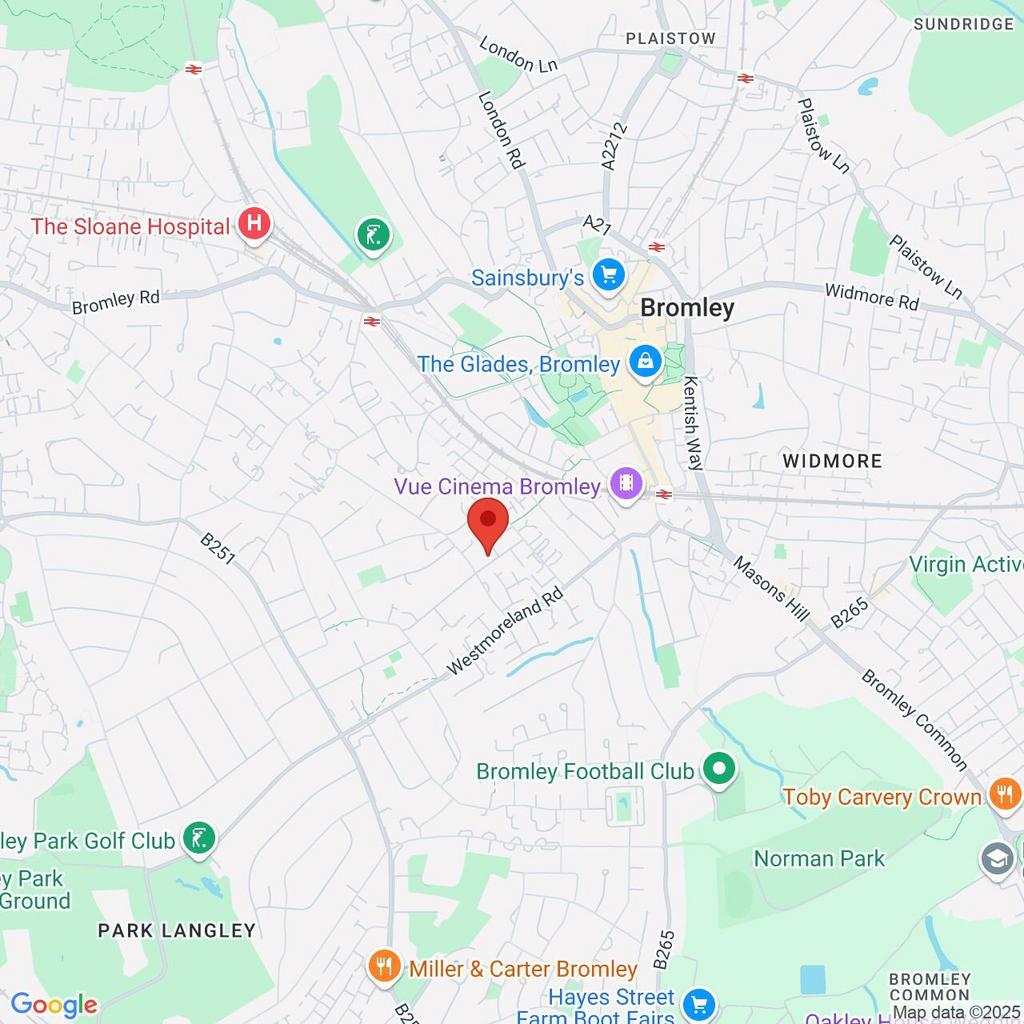 Google Maps Image
