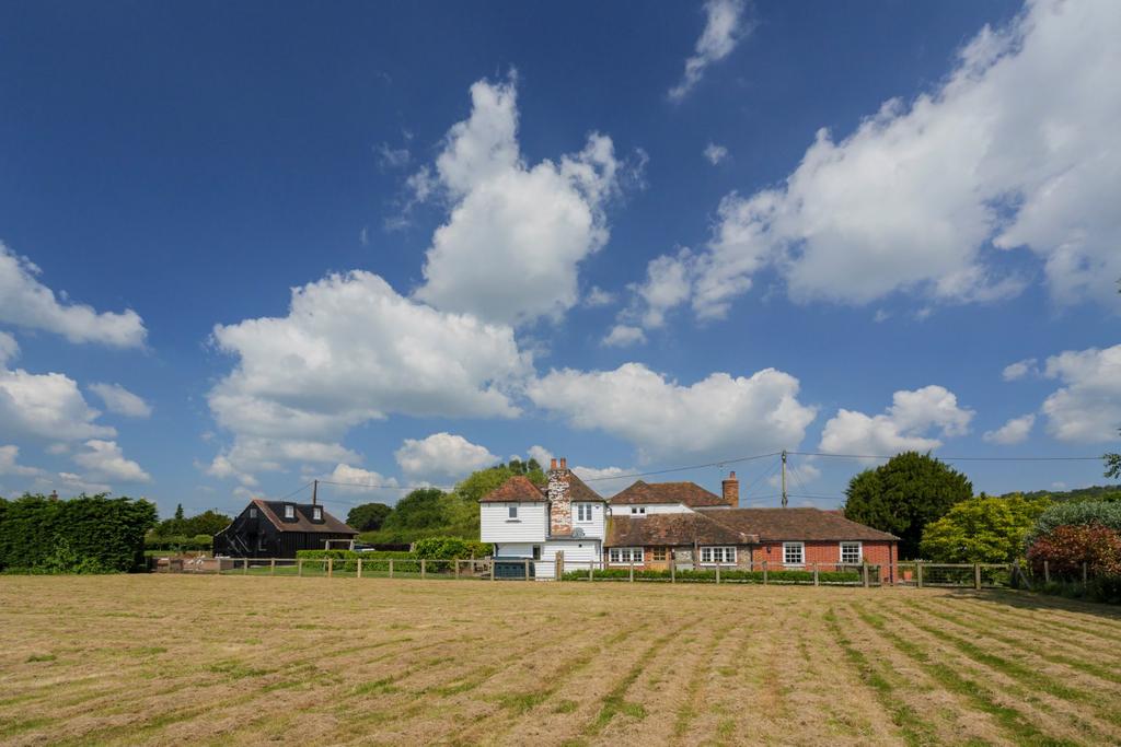 The Old Plough