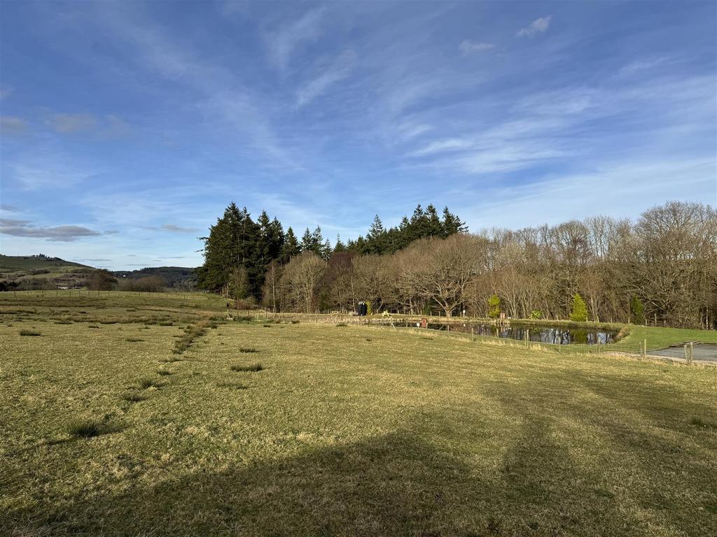 The View from the Lodge