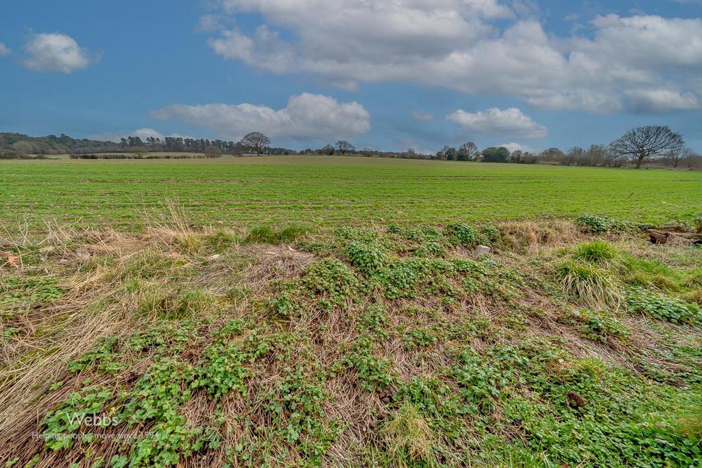 © Webbs Estate Agents © (96 of 96).jpg