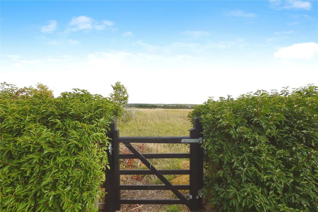 Open Fields
