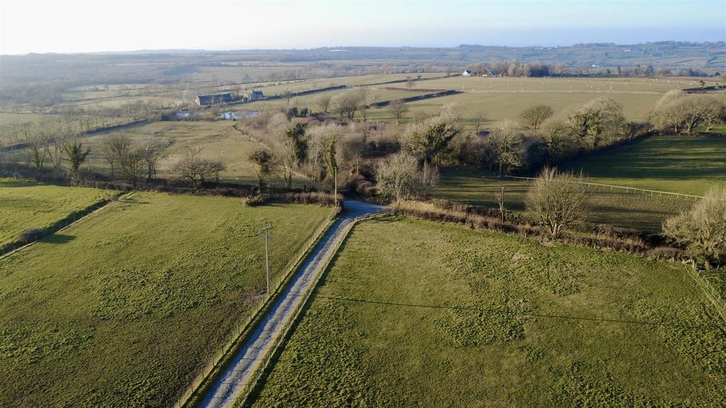 Dji fly 20250305 165718 289 1741193875809 photo op