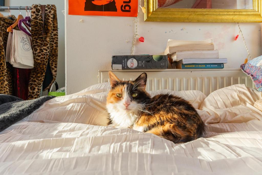1 C1 R3 WH - Bedroom D.jpg
