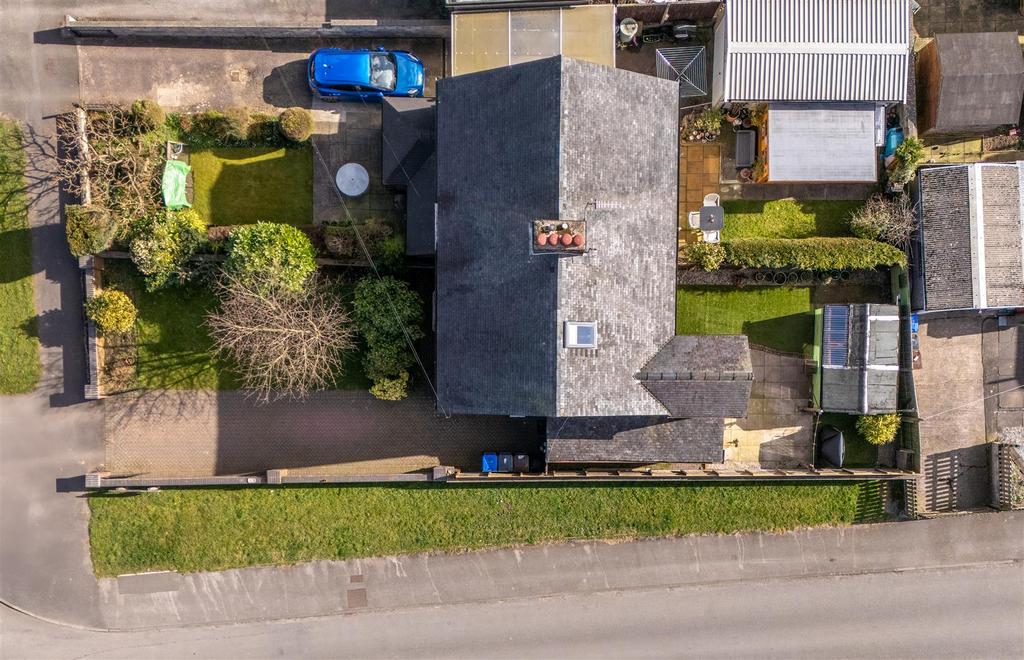 DJI 20250311110122 0053 D.jpg