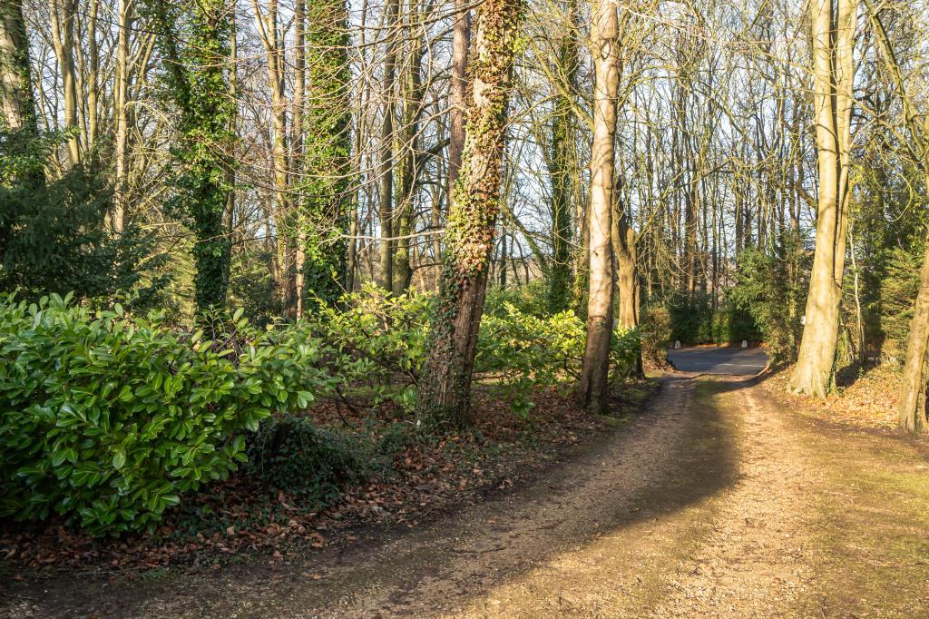 Driveway