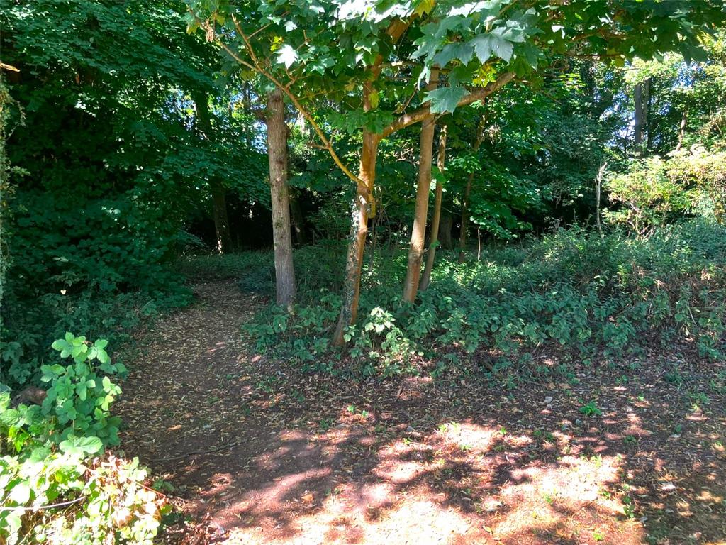 Woodland Walk