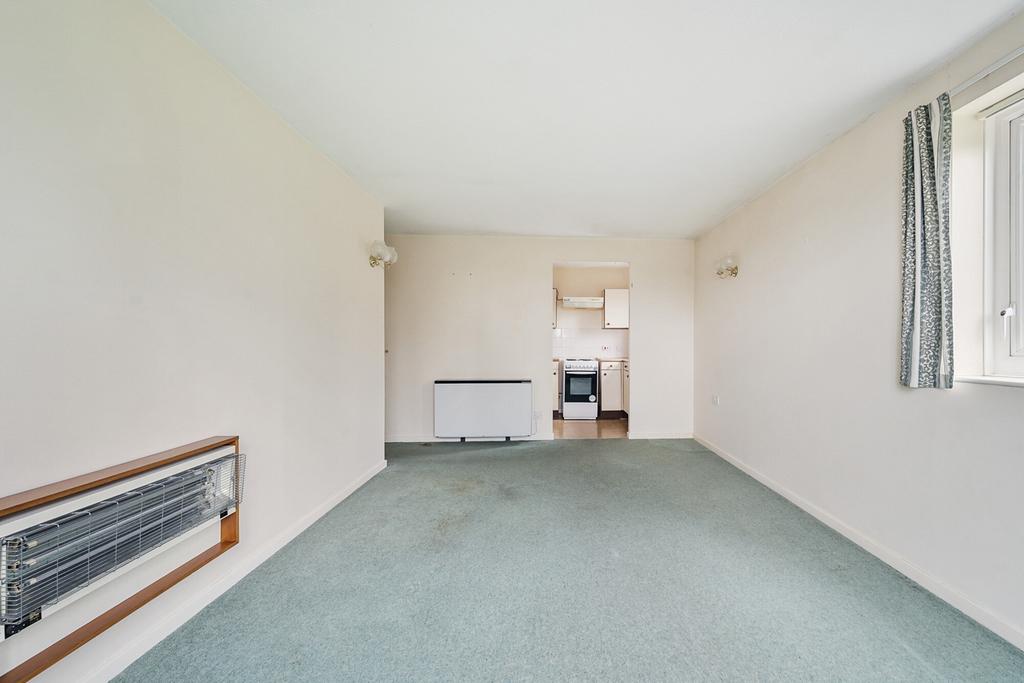 1255270 (4).jpg
