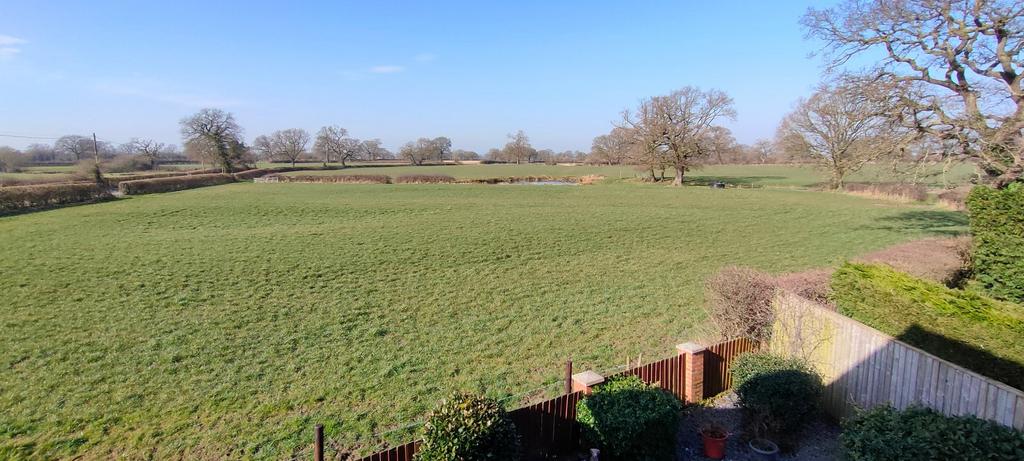 Picture No. 19