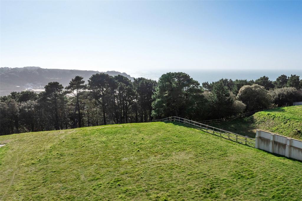 Garden/View