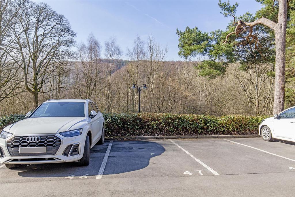 Parking-1.jpg