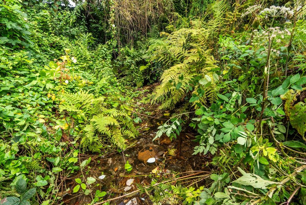Stream