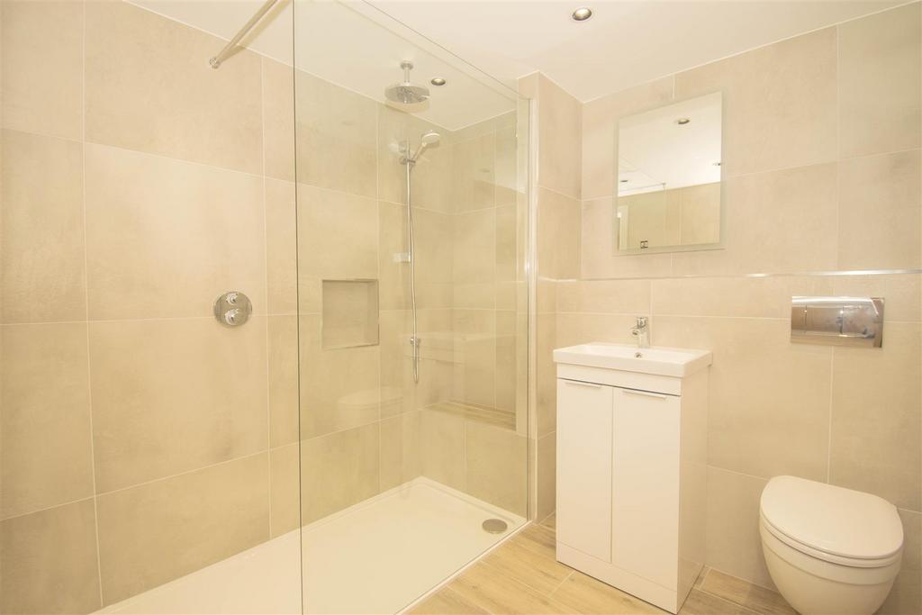 Luxury house shower room