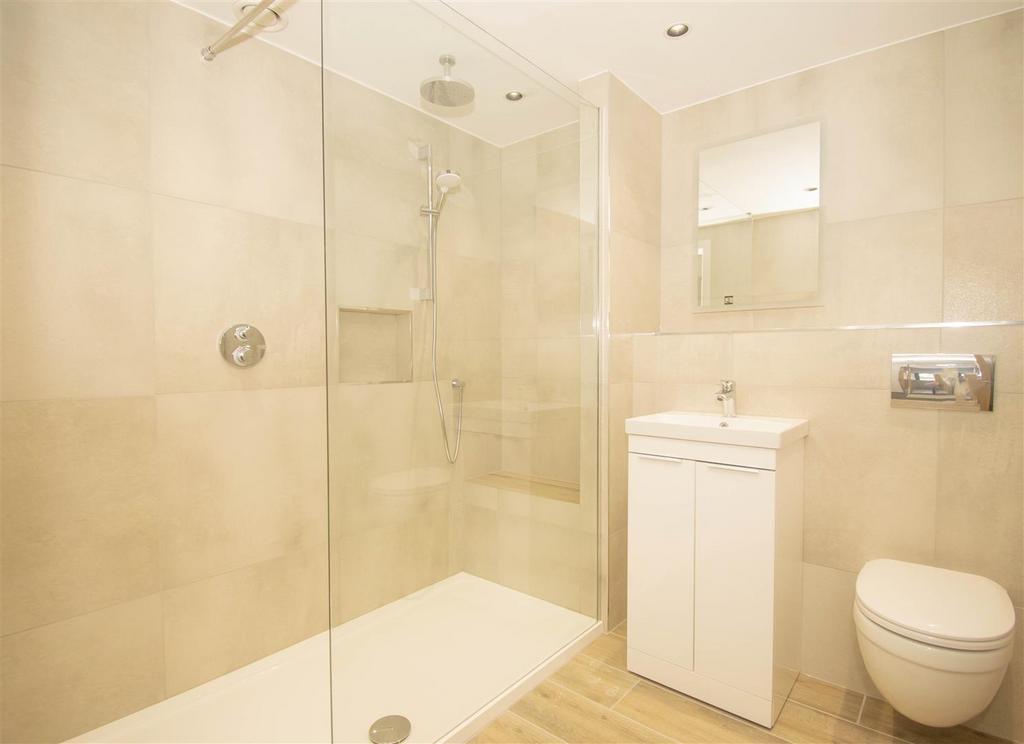 Luxury house shower room