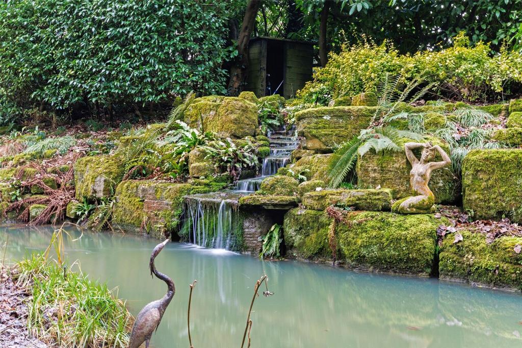 Pond