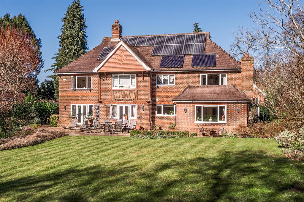 New Rear Elevation