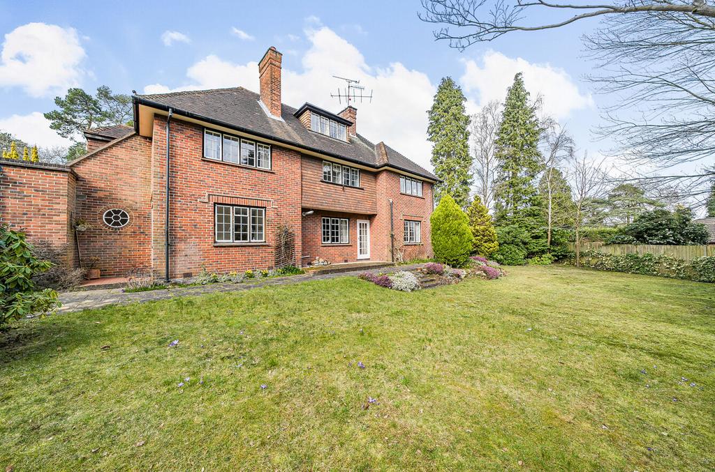 1258200 (10).jpg