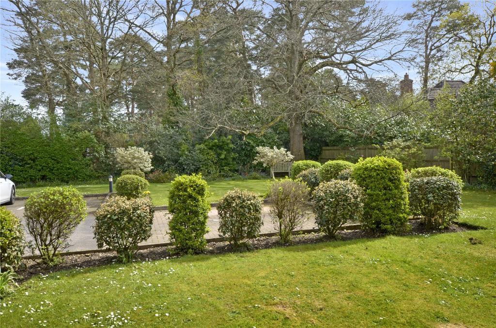 Grounds