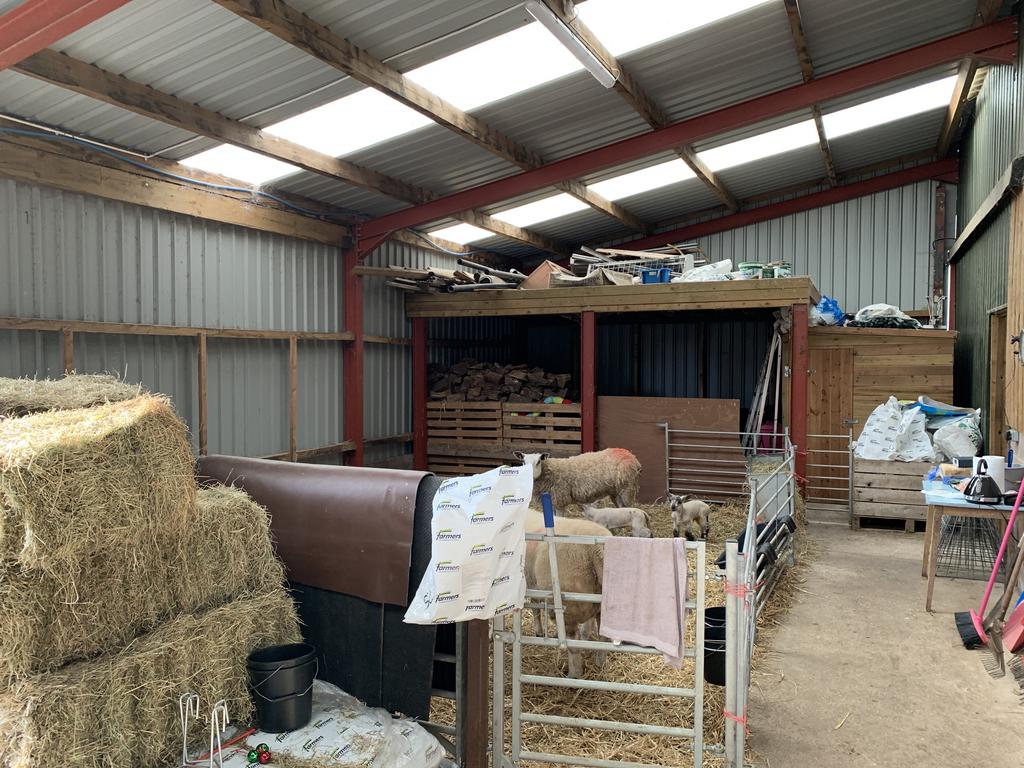 Sheep/Storage area