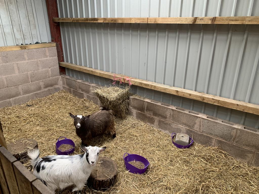 Stable/Pen/Storage area