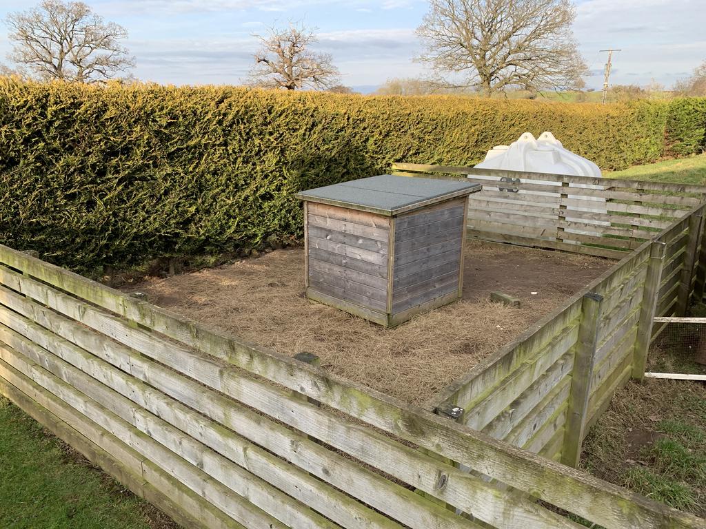 Hen Shed/Pen