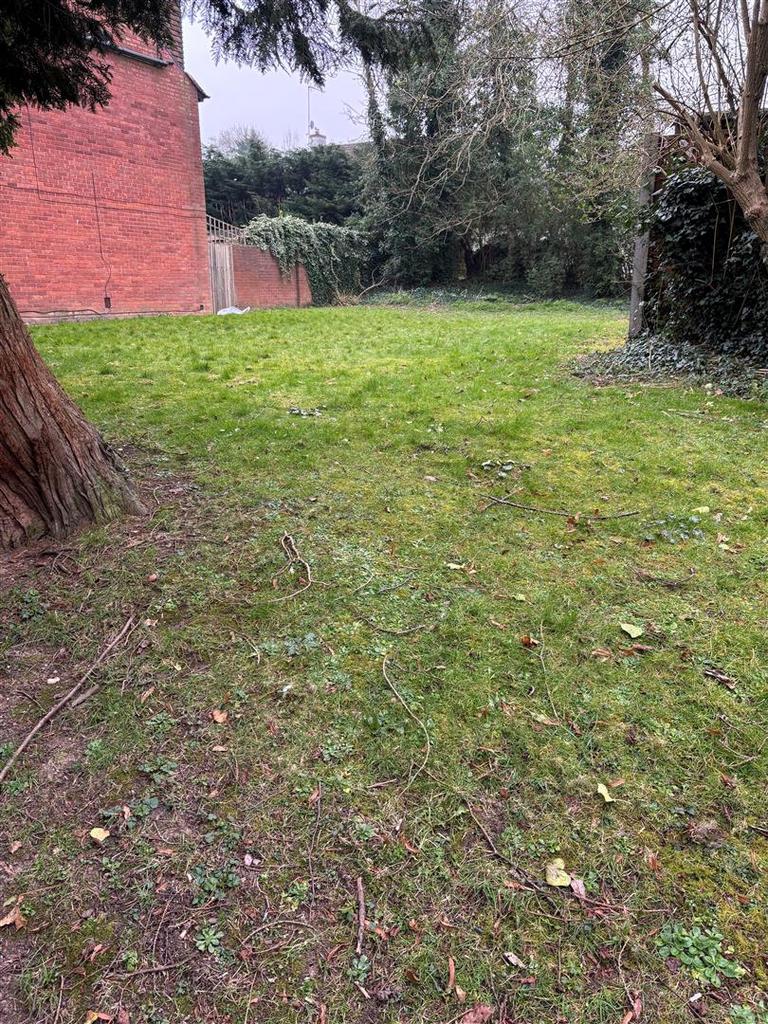 Garden.jpg