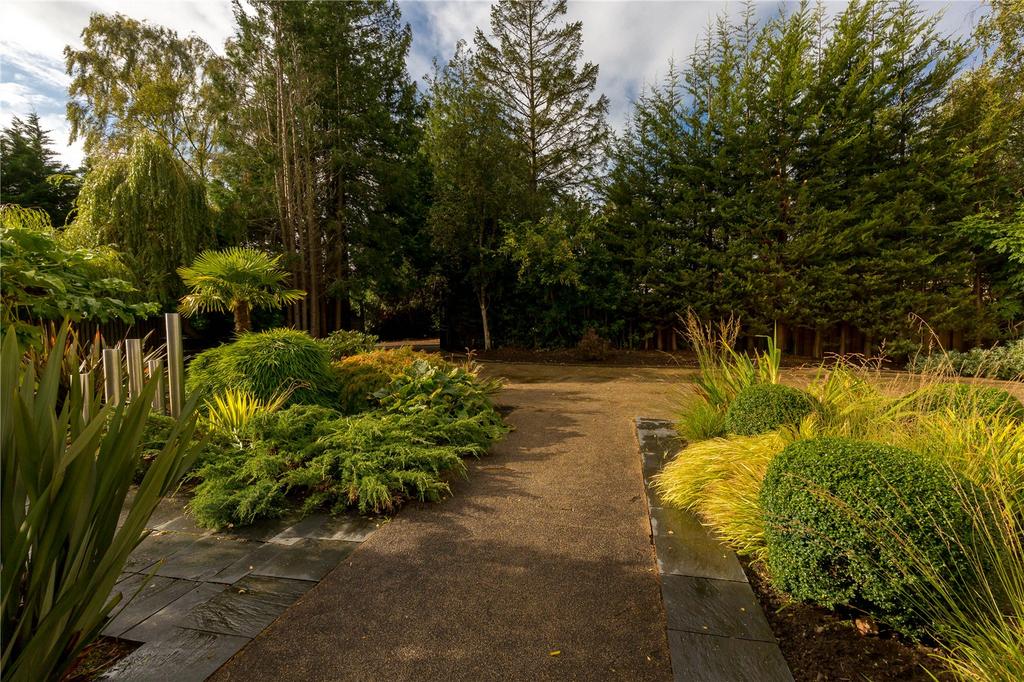 Front Driveway