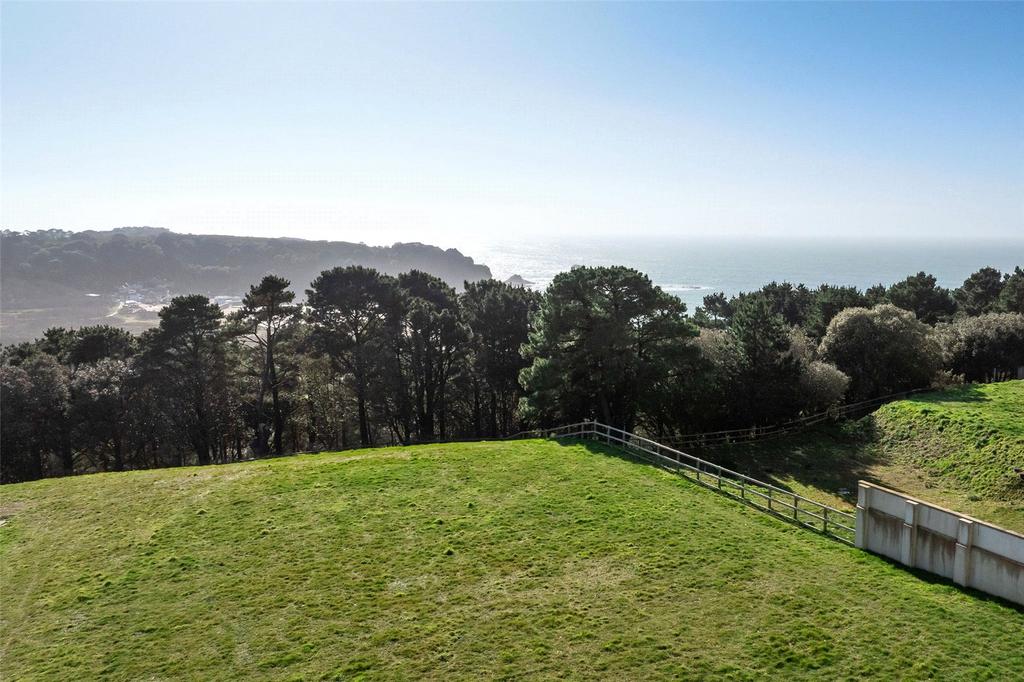 Garden/View