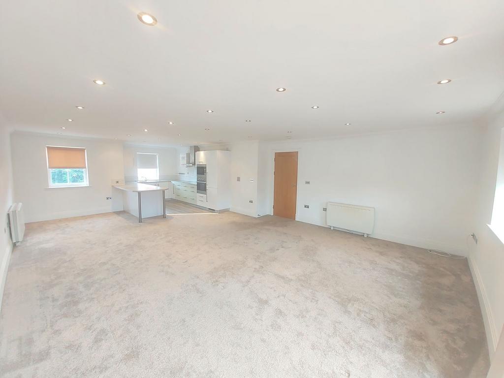 Living Room/Kitchen/Dining Room