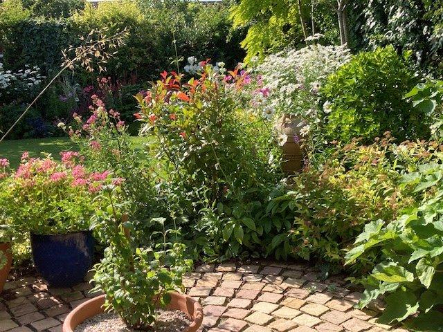 Garden In Summer