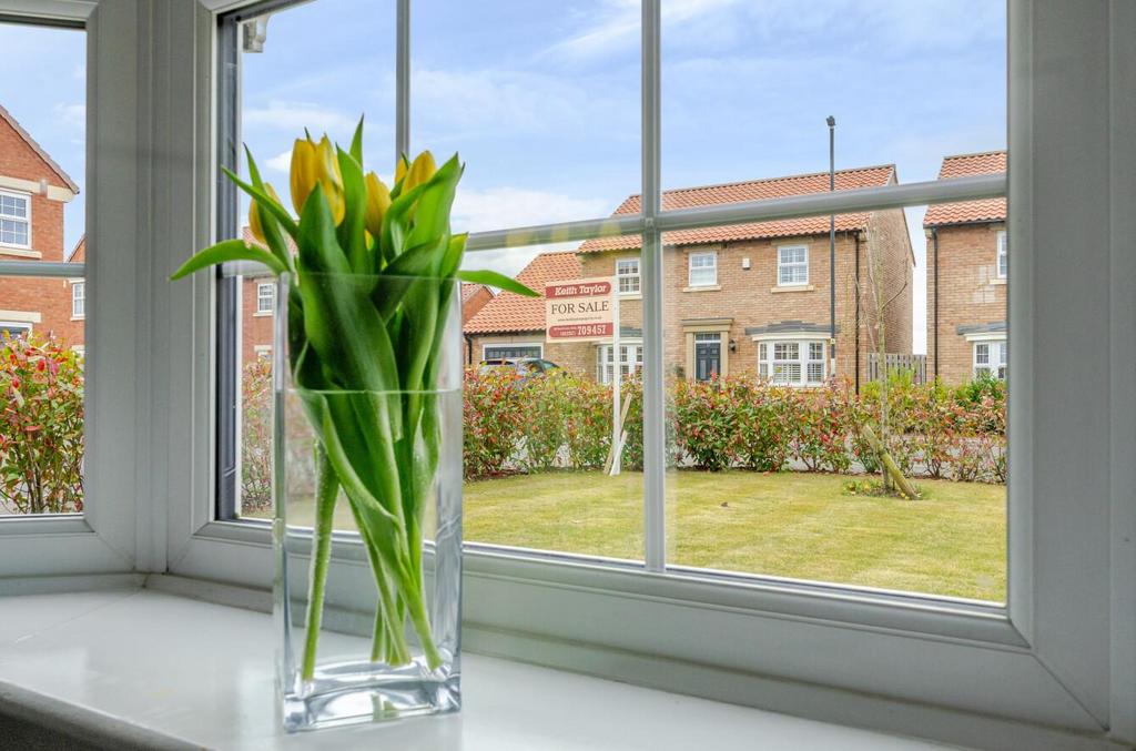 Window view