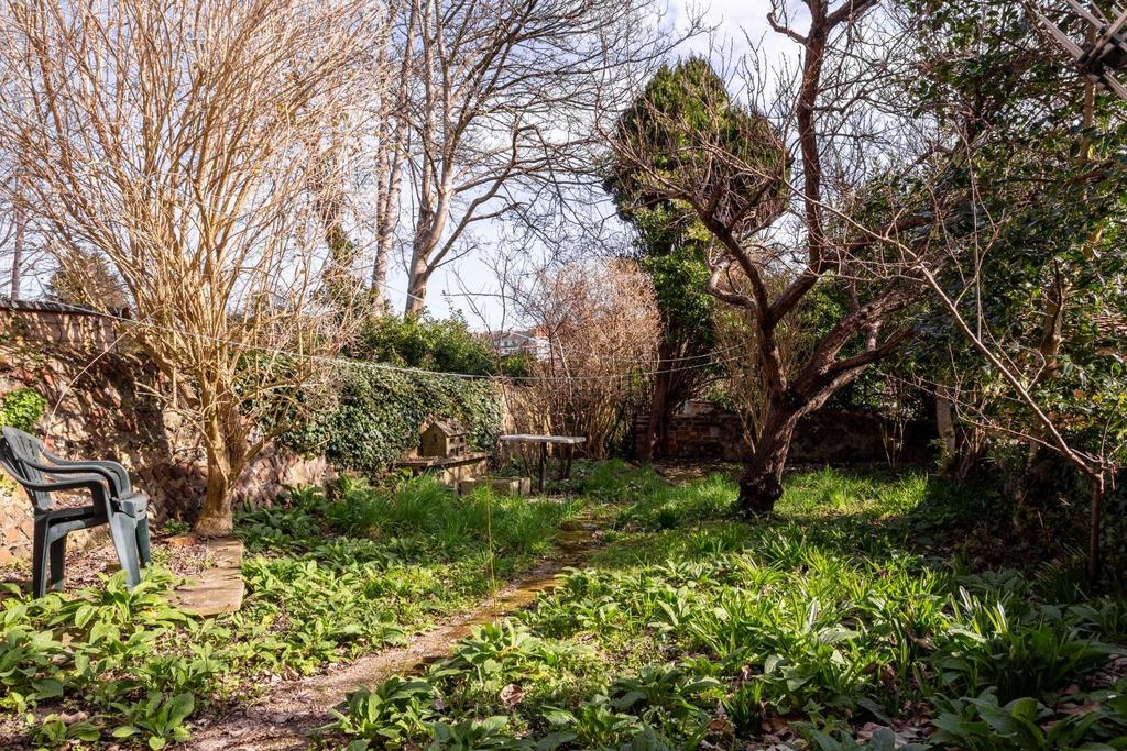 Garden.jpg