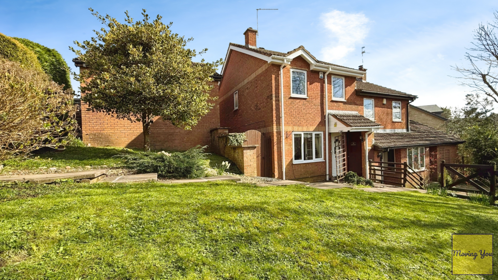 Front of plot